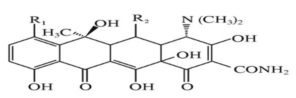 西药学专业一,章节练习,基础复习,西药学专业一真题章节