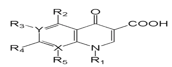 西药学专业一,章节练习,基础复习,西药学专业一真题章节