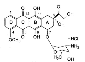 西药学专业一,章节练习,基础复习,西药学专业一真题章节 西药学专业一,章节练习,基础复习,西药学专业一真题章节