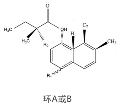 西药学专业一,章节练习,基础复习,西药学专业一真题章节