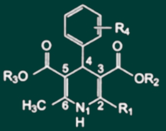 西药学专业一,章节练习,基础复习,西药学专业一真题章节 西药学专业一,章节练习,基础复习,西药学专业一真题章节