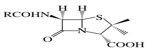 西药学专业一,章节练习,基础复习,西药学专业一真题章节