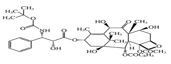 西药学专业一,章节练习,基础复习,西药学专业一真题章节