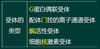 西药学专业一,章节练习,基础复习,西药学专业一真题章节