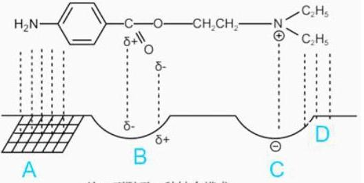 西药学专业一,章节练习,基础复习,西药学专业一真题章节 西药学专业一,章节练习,基础复习,西药学专业一真题章节