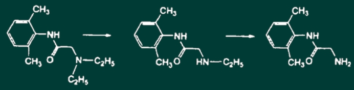西药学专业一,章节练习,基础复习,西药学专业一真题章节