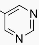 西药学专业一,章节练习,基础复习,西药学专业一真题章节