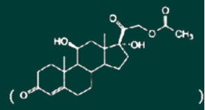 西药学专业一,章节练习,基础复习,西药学专业一真题章节