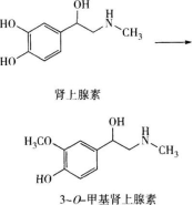 西药学专业一,章节练习,基础复习,西药学专业一真题章节