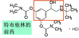 西药学专业一,押题密卷,2021年执业药师考试《药学专业知识一》超押卷2
