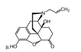 西药学专业一,章节练习,基础复习,真题章节