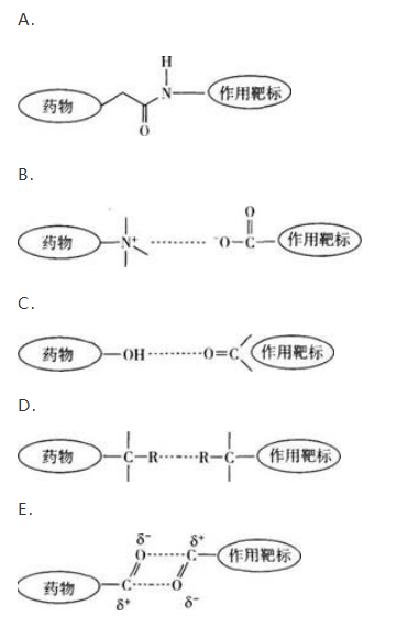 西药学专业一,章节练习,西药学专业一预测