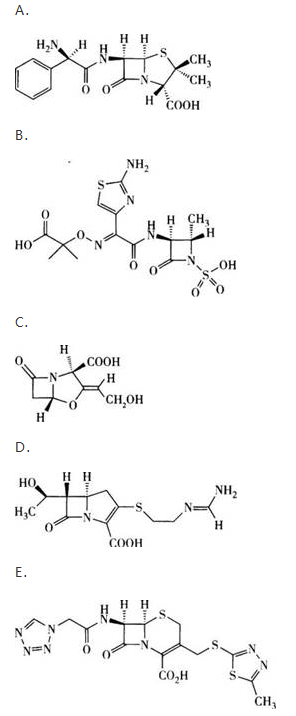 西药学专业一,章节练习,西药学专业一预测