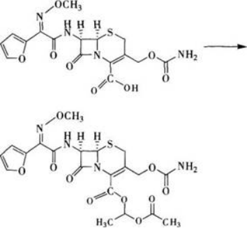 西药学专业一,章节练习,西药学专业一预测