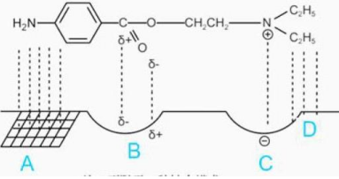 西药学专业一,章节练习,西药学专业一真题