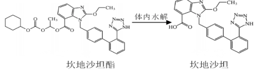 西药学专业一,章节练习,西药学专业一真题