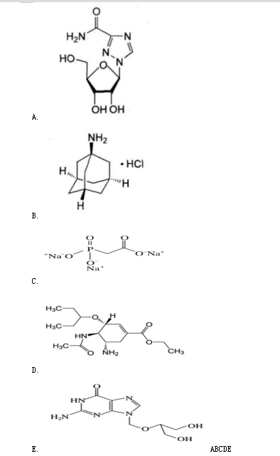 西药学专业一,章节练习,西药学专业一真题