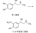 西药学专业一,章节练习,西药学专业一真题