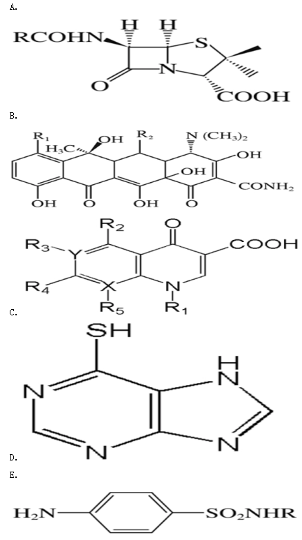 西药学专业一,章节练习,西药学专业一真题