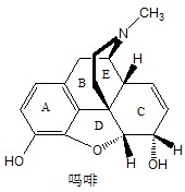 西药学专业一,章节练习,西药学专业（一）