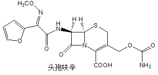 西药学专业一,章节练习,西药学专业（一）