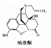 西药学专业一,章节练习,西药学专业（一）