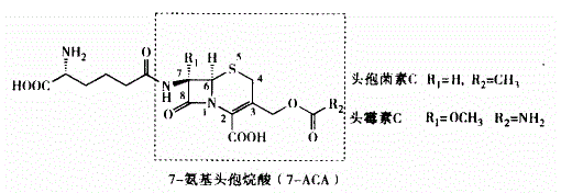 西药学专业一,章节练习,西药学专业（一）