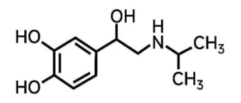 西药学专业一,真题章节,执业药师考试西药学专业知识一