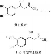 西药学专业一,预测试卷,2021年执业药师考试《药学专业知识一》名师预测卷5